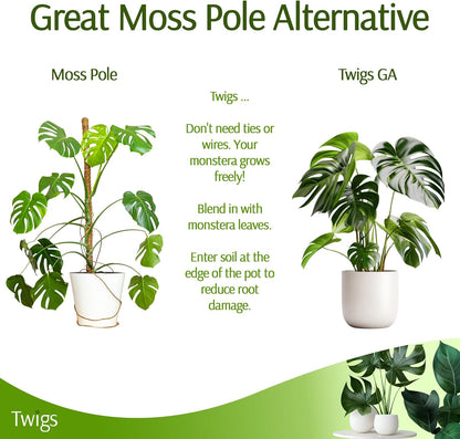 Stackable Monstera Plant Support Stakes