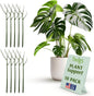 Stackable Monstera Plant Support Stakes