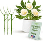 Stackable Monstera Plant Support Stakes