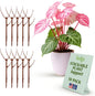 Stackable Monstera Plant Support Stakes