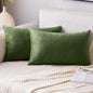 2 Premium Velvet Pillow Covers – Soft & Stylish Cushion Cases for Sofa, Bed & Car