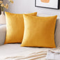 2 Premium Velvet Pillow Covers – Soft & Stylish Cushion Cases for Sofa, Bed & Car