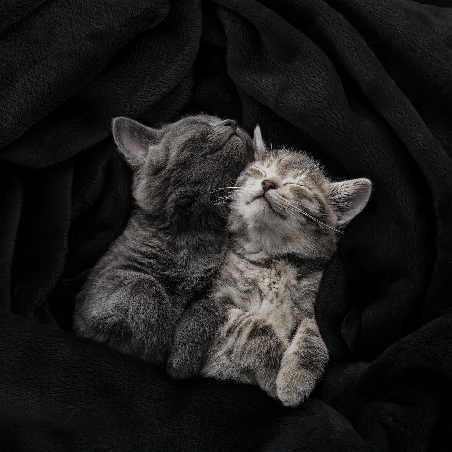 Refined Fleece Blanket — Timeless Warmth, Instant Comfort