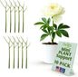 Stackable Monstera Plant Support Stakes