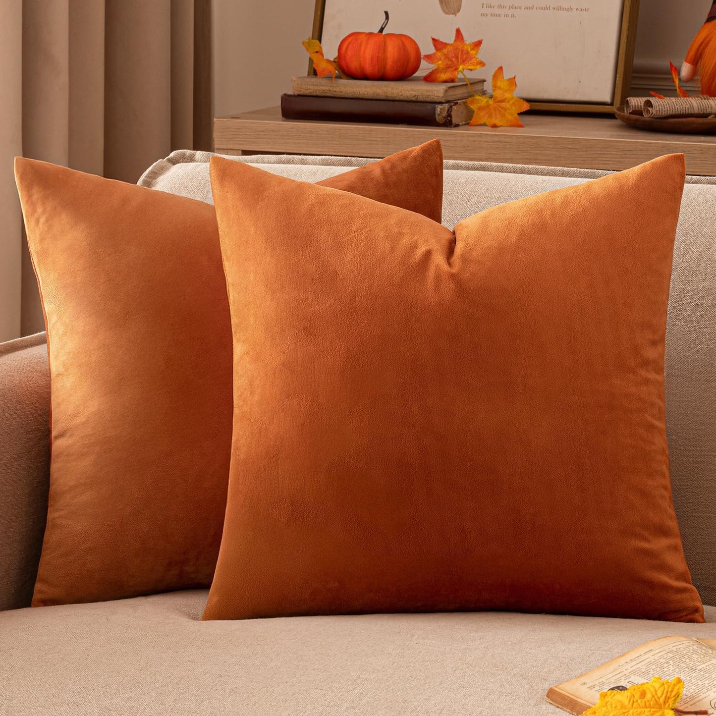 2 Premium Velvet Pillow Covers – Soft & Stylish Cushion Cases for Sofa, Bed & Car