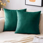 2 Premium Velvet Pillow Covers – Soft & Stylish Cushion Cases for Sofa, Bed & Car