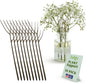 Stackable Monstera Plant Support Stakes