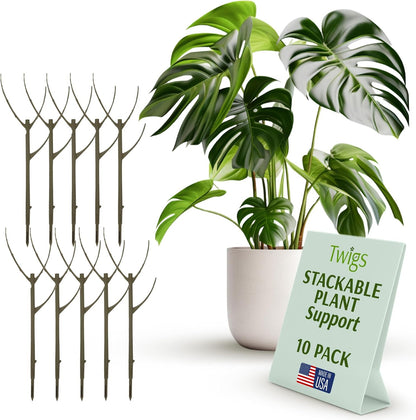 Stackable Monstera Plant Support Stakes