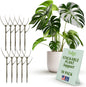 Stackable Monstera Plant Support Stakes
