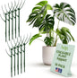 Stackable Monstera Plant Support Stakes