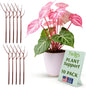 Stackable Monstera Plant Support Stakes