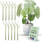 Stackable Monstera Plant Support Stakes