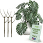Stackable Monstera Plant Support Stakes